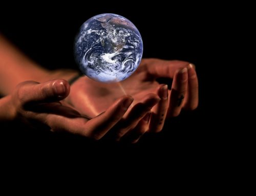 Zmiany klimatyczne i problemy środowiskowe to największe zagrożenia według raportu Światowego Forum Ekonomicznego